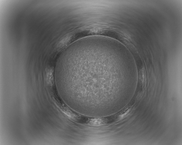 X0000059090127200510101154