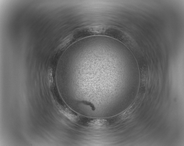 X0000059090128200510101154