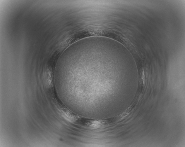 X0000059090130200510101154