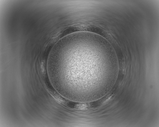 X0000059090131200510101154