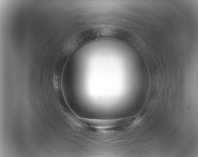 X0000059090135200510101154