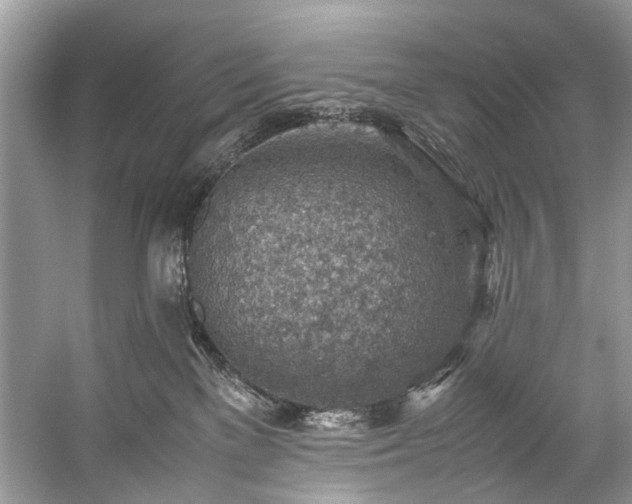 X0000059090137200510101154