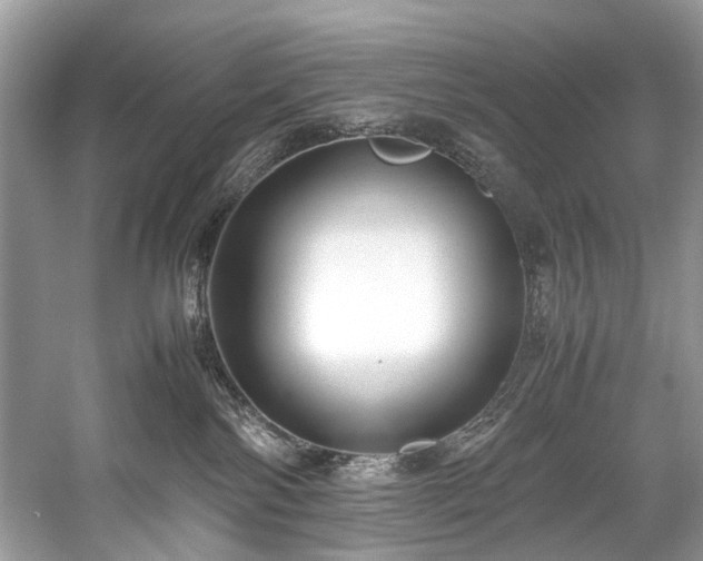 X0000059090138200510101154