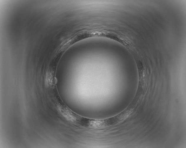 X0000059090139200510101154