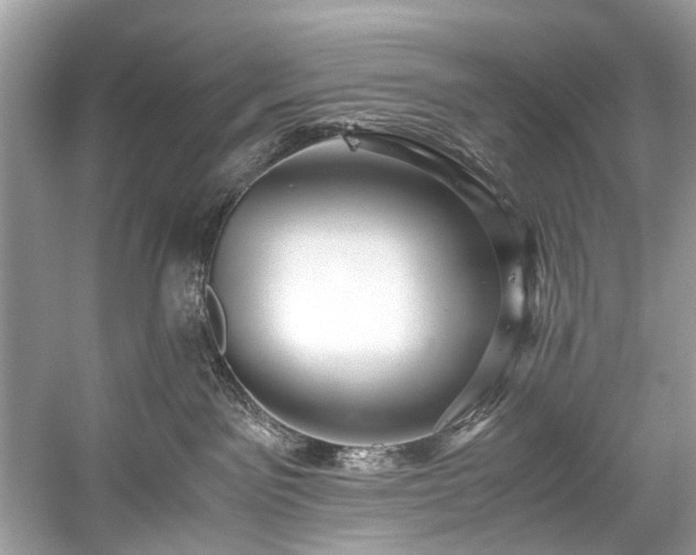 X0000059090141200510101154