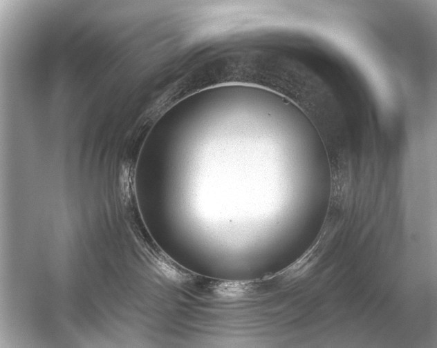 X0000059090142200510101154