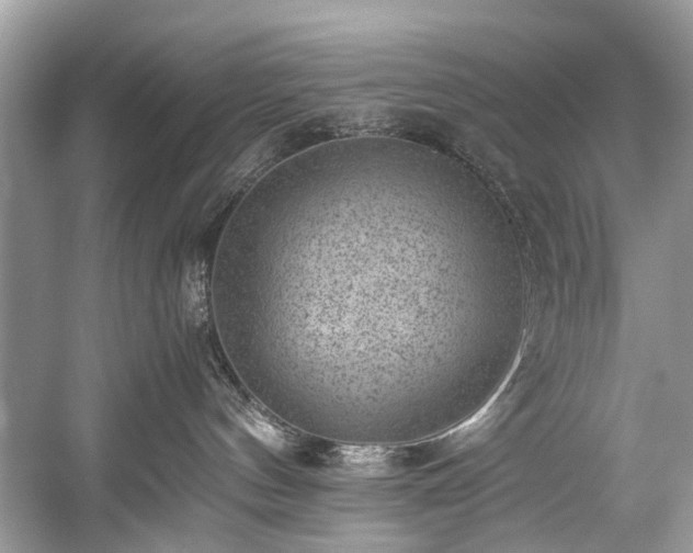 X0000059090144200510101154