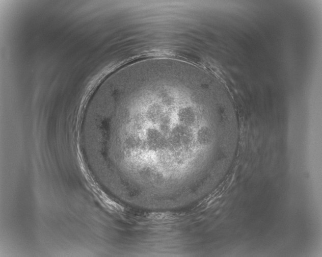 X0000059090145200510101153