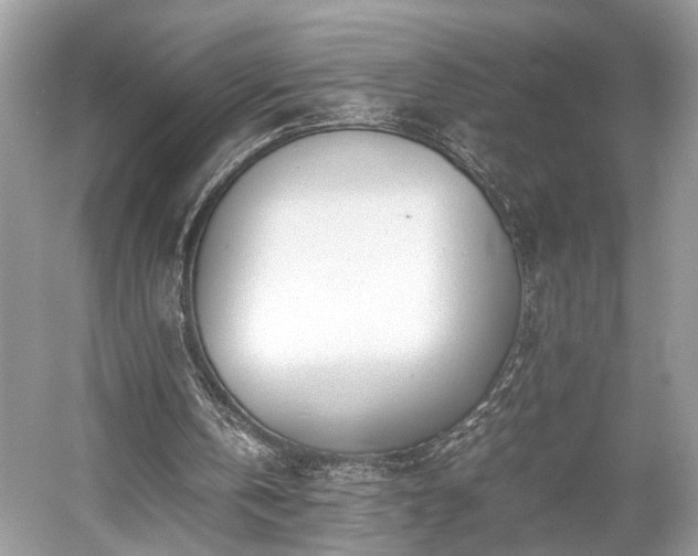 X0000059090146200510101153