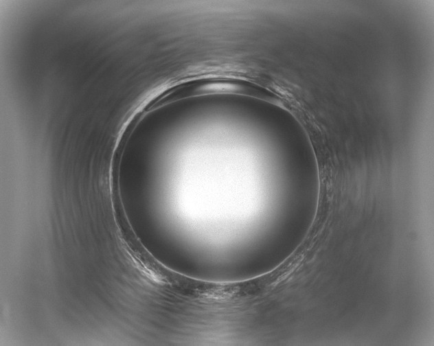 X0000059090148200510101153