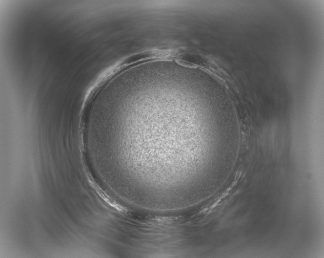 X0000059090149200510101153