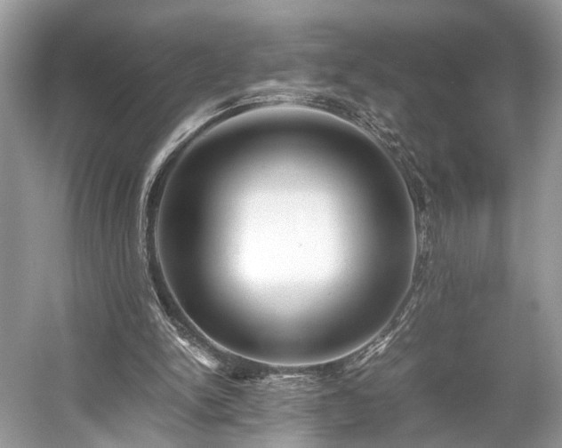 X0000059090150200510101153