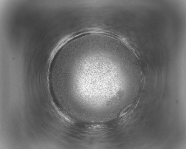 X0000059090151200510101153