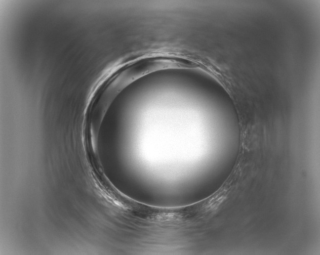 X0000059090152200510101153