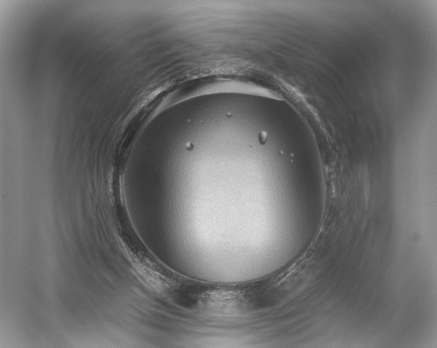 X0000059090154200510101154