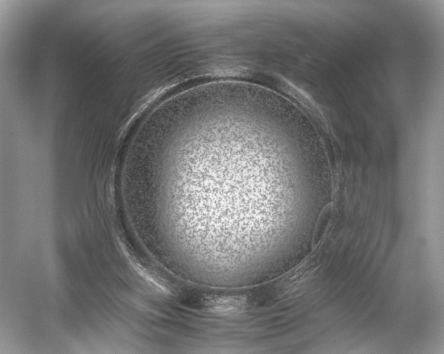 X0000059090155200510101154