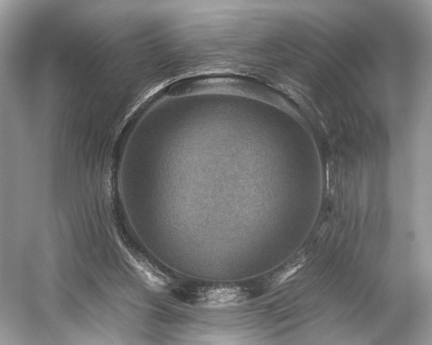 X0000059090156200510101154