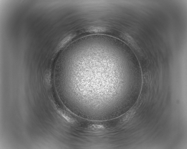 X0000059090159200510101154