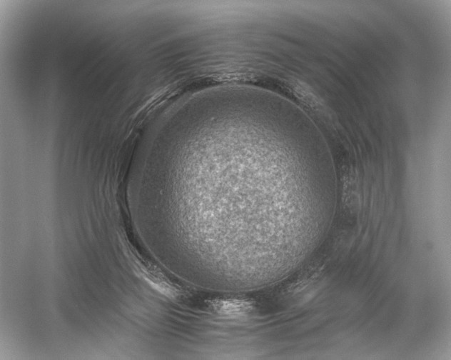 X0000059090165200510101154