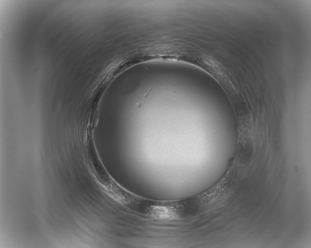 X0000059090167200510101154