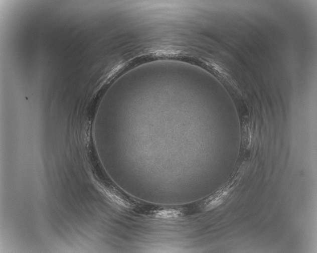 X0000059090168200510101154