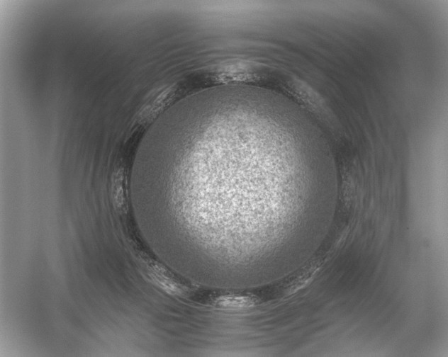 X0000059090169200510101154