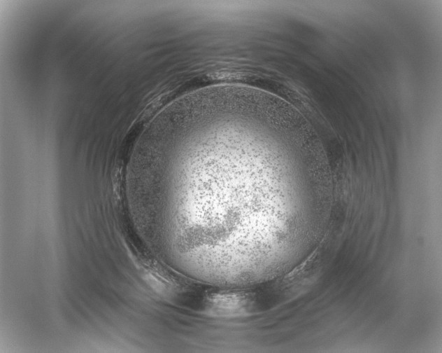 X0000059090171200510101154