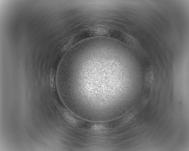 X0000059090177200510101154