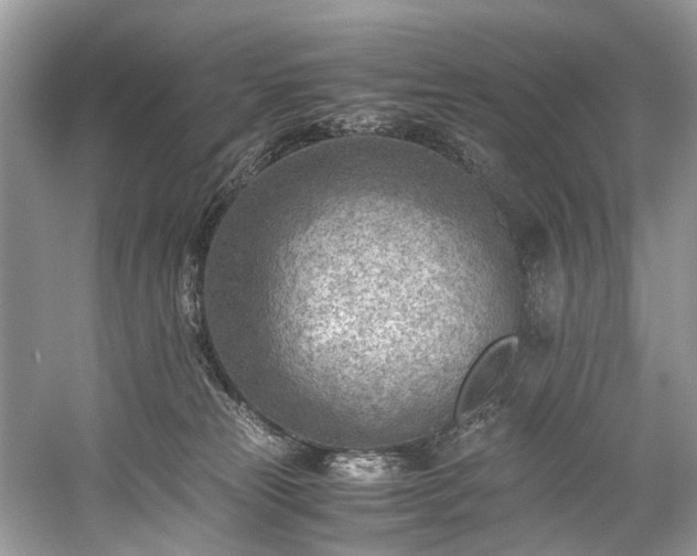 X0000059090181200510101154