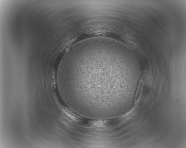 X0000059090182200510101154