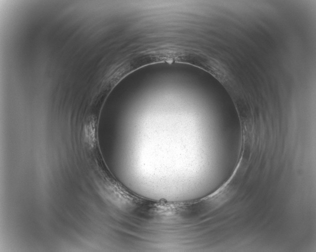 X0000059090190200510101154