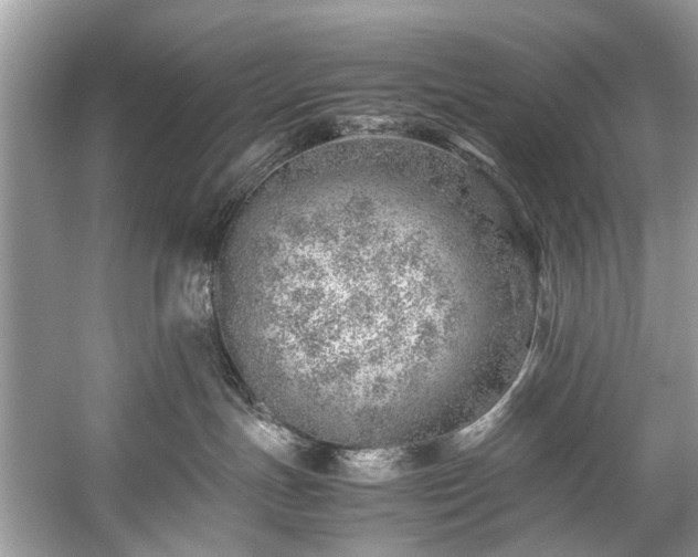 X0000059090191200510101154