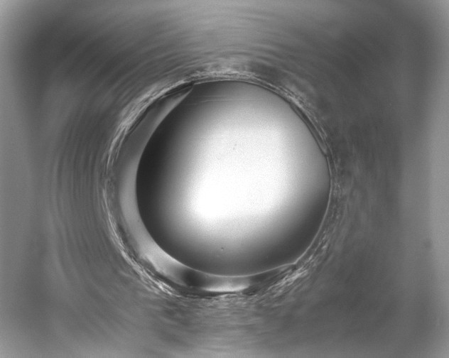 X0000059090193200510101153