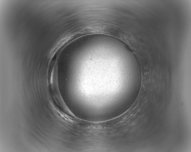 X0000059090194200510101153