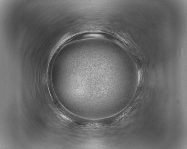 X0000059090195200510101153