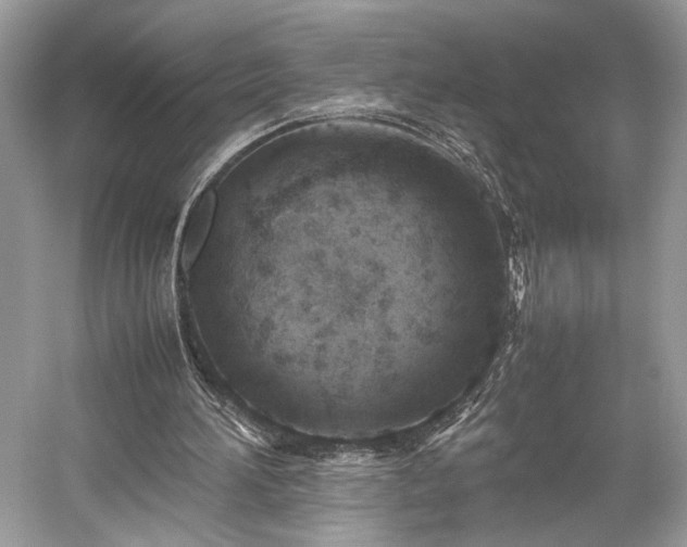 X0000059090196200510101153