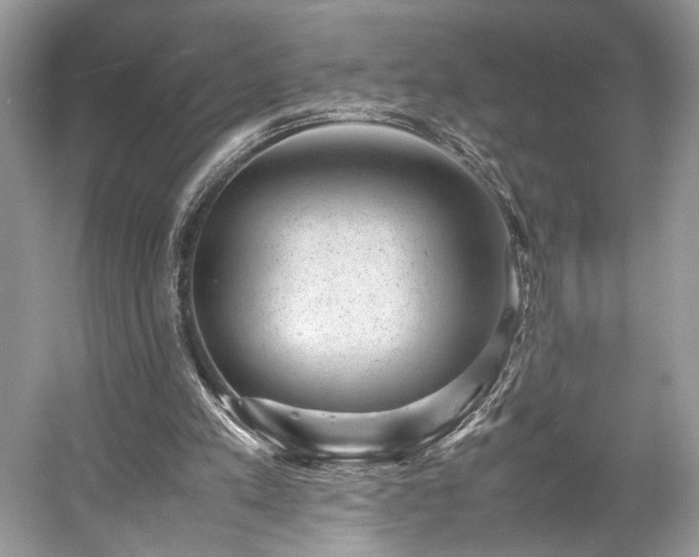 X0000059090197200510101153