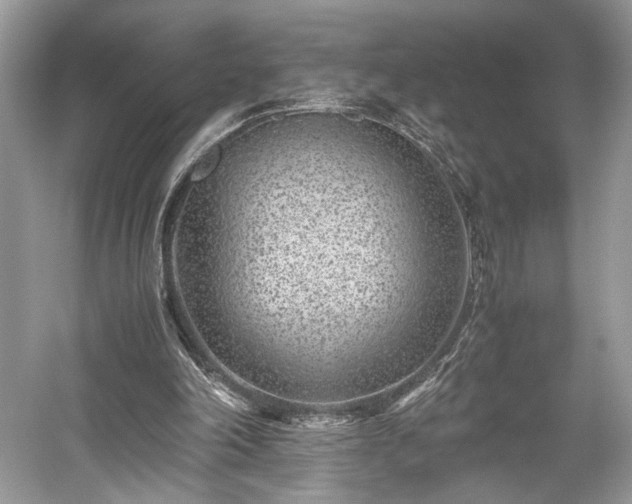 X0000059090198200510101153