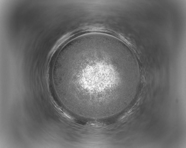 X0000059090199200510101153