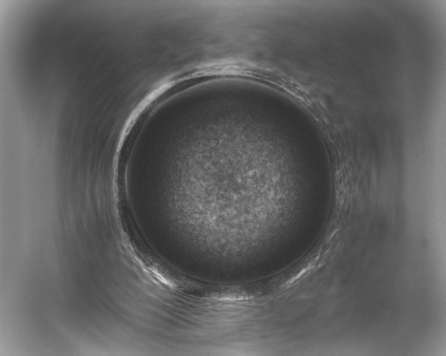 X0000059090200200510101153