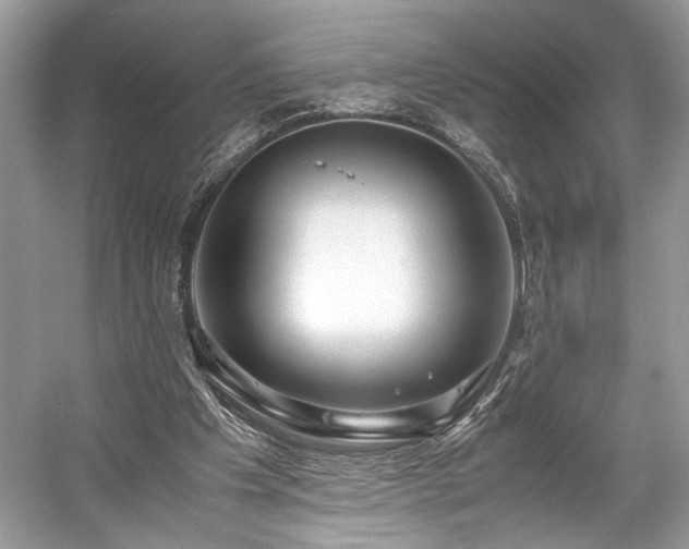 X0000059090201200510101153