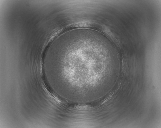 X0000059090202200510101153