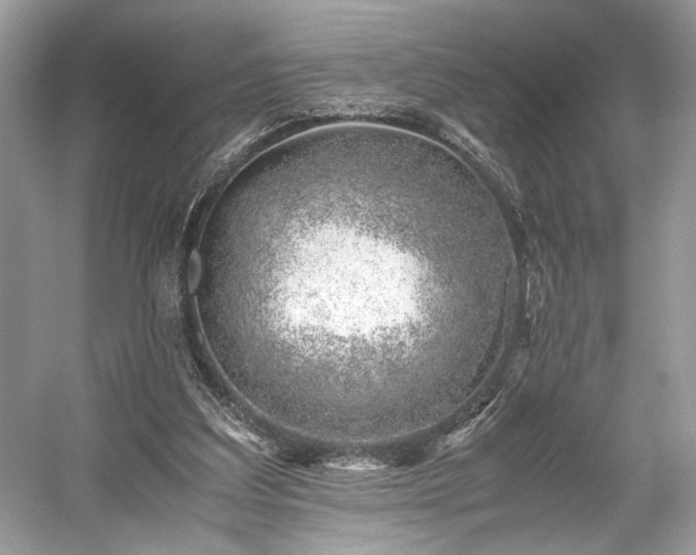 X0000059090203200510101153