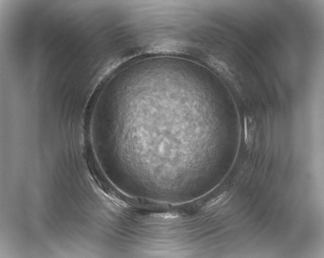 X0000059090204200510101153