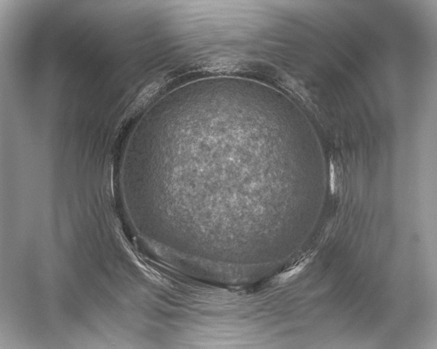 X0000059090205200510101153