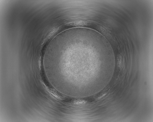 X0000059090206200510101153