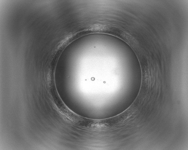 X0000059090208200510101153