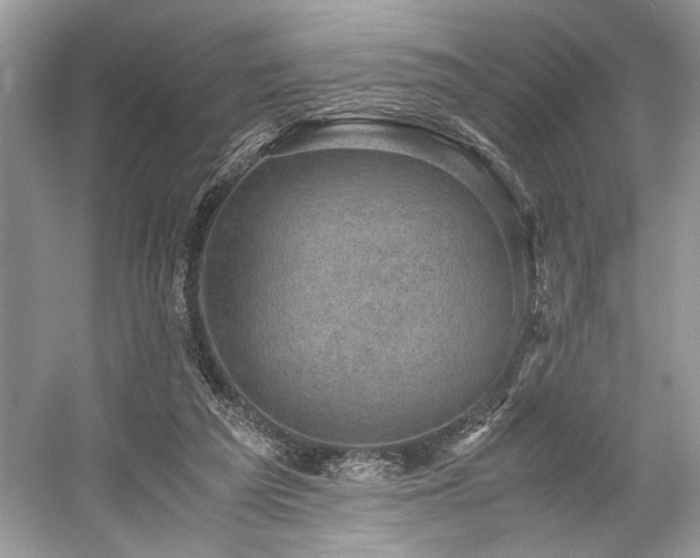 X0000059090209200510101153