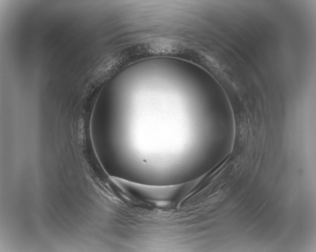 X0000059090211200510101153