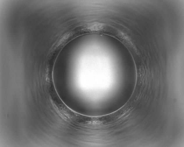 X0000059090212200510101153